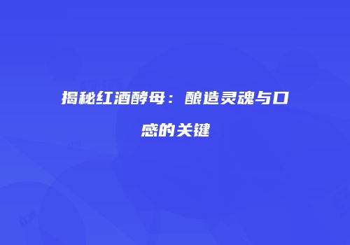 揭秘红酒酵母：酿造灵魂与口感的关键