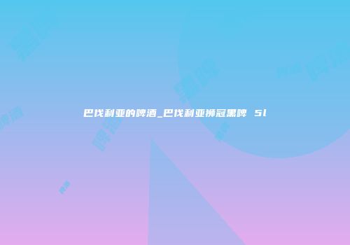 巴伐利亚的啤酒_巴伐利亚狮冠黑啤 5l