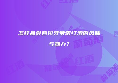 怎样品尝西班牙梦诺红酒的风味与魅力？