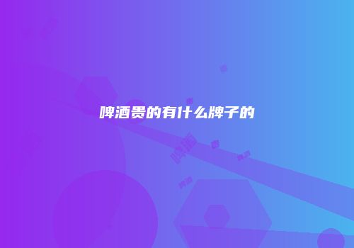 啤酒贵的有什么牌子的