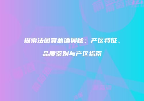 探索法国葡萄酒奥秘：产区特征、品质鉴别与产区指南