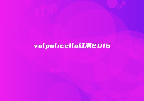 valpolicella红酒2016