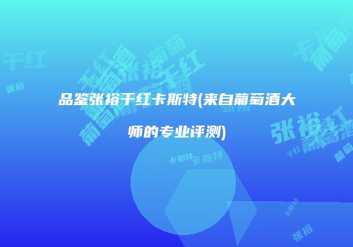 品鉴张裕干红卡斯特(来自葡萄酒大师的专业评测)