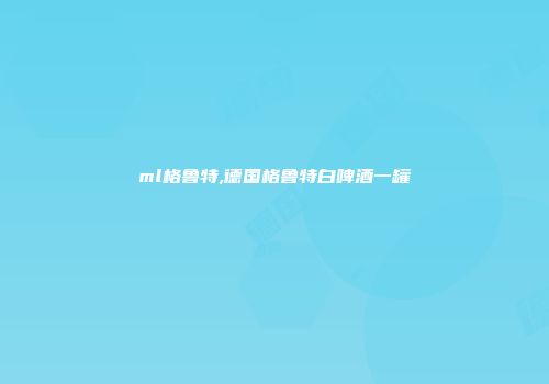 ml格鲁特,德国格鲁特白啤酒一罐