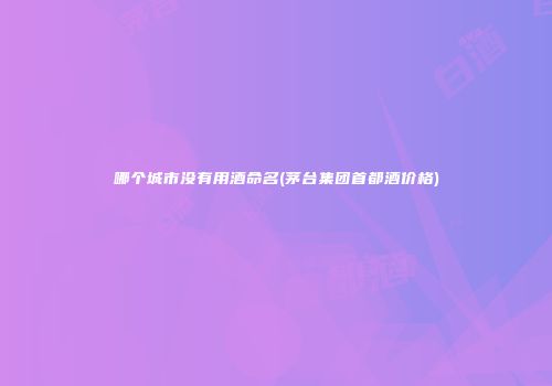 哪个城市没有用酒命名(茅台集团首都酒价格)