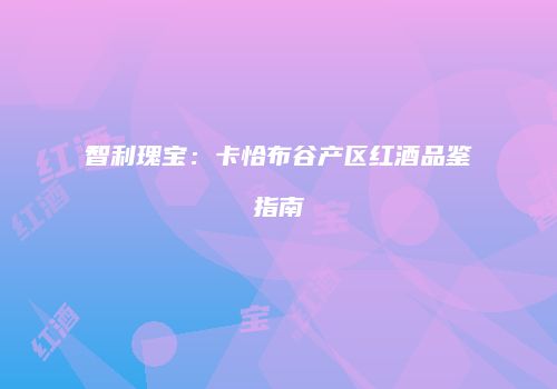 智利瑰宝：卡恰布谷产区红酒品鉴指南
