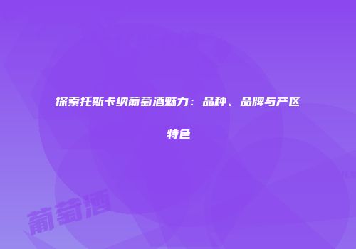 探索托斯卡纳葡萄酒魅力：品种、品牌与产区特色