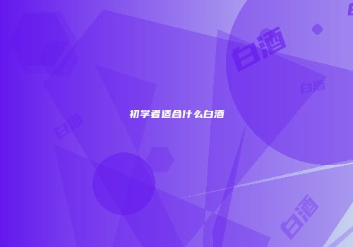 初学者适合什么白酒