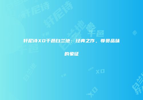 轩尼诗XO干邑白兰地：经典之作，尊贵品味的象征