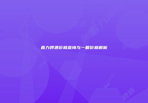 喜力啤酒价格查询与一箱价格解析