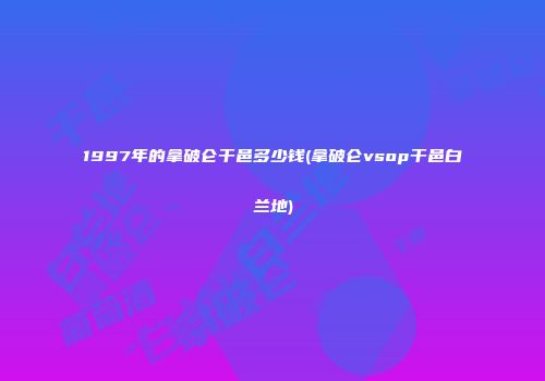 1997年的拿破仑干邑多少钱(拿破仑vsop干邑白兰地)