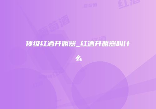 顶级红酒开瓶器_红酒开瓶器叫什么