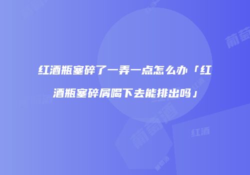 红酒瓶塞碎了一弄一点怎么办「红酒瓶塞碎屑喝下去能排出吗」