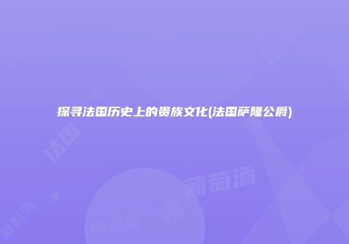探寻法国历史上的贵族文化(法国萨隆公爵)