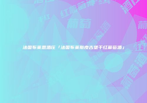 法国布莱恩酒庄「法国布莱斯皮古堡干红葡萄酒」
