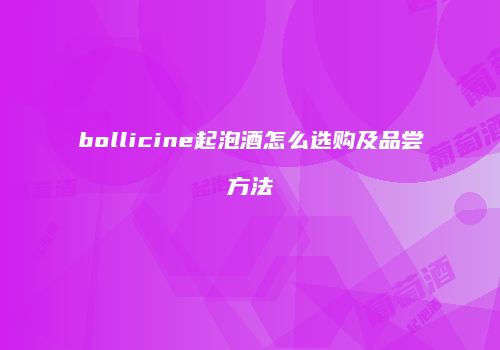 bollicine起泡酒怎么选购及品尝方法