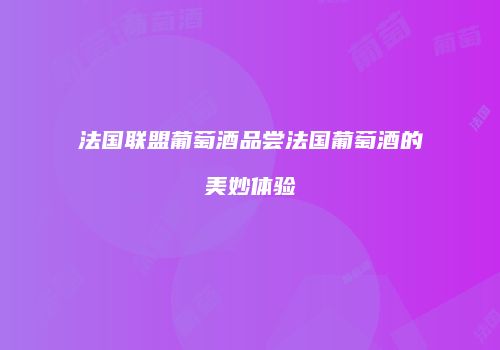 法国联盟葡萄酒品尝法国葡萄酒的美妙体验
