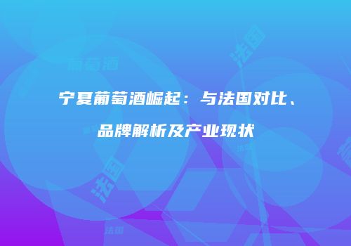 宁夏葡萄酒崛起：与法国对比、品牌解析及产业现状