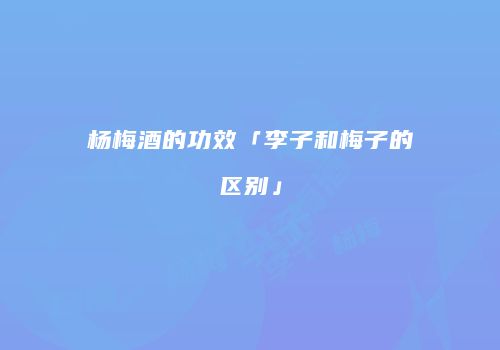 杨梅酒的功效「李子和梅子的区别」