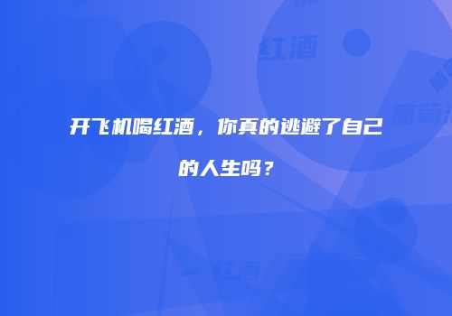 开飞机喝红酒，你真的逃避了自己的人生吗？