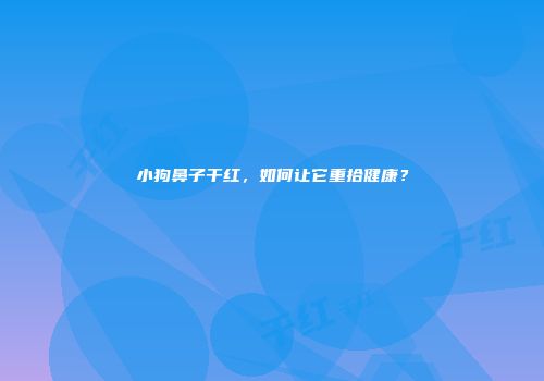 小狗鼻子干红，如何让它重拾健康？