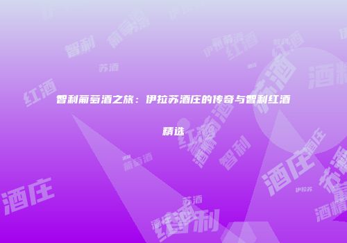 智利葡萄酒之旅：伊拉苏酒庄的传奇与智利红酒精选