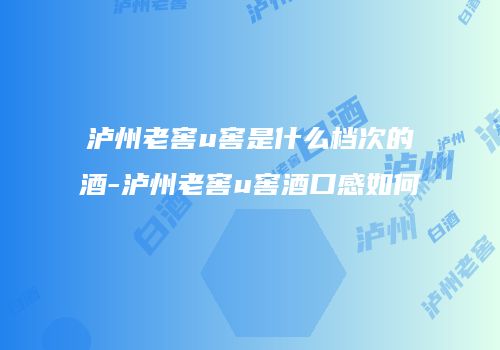 泸州老窖u窖是什么档次的酒-泸州老窖u窖酒口感如何