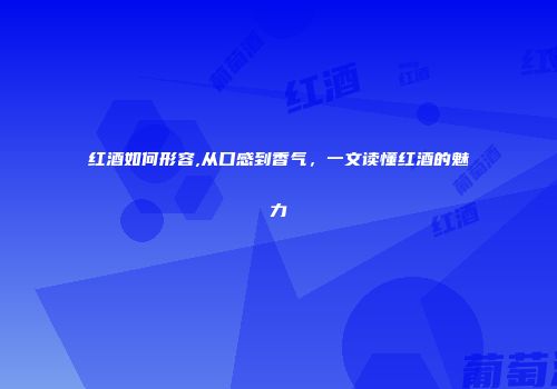 红酒如何形容,从口感到香气，一文读懂红酒的魅力