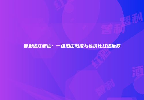 智利酒庄精选：一级酒庄概览与性价比红酒推荐