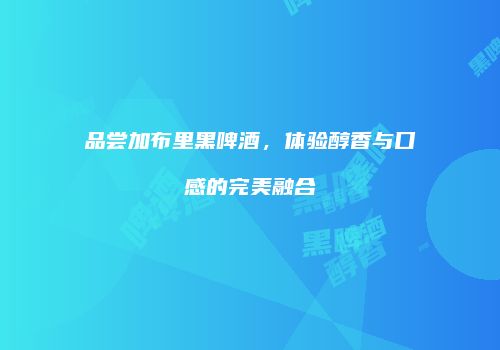 品尝加布里黑啤酒，体验醇香与口感的完美融合