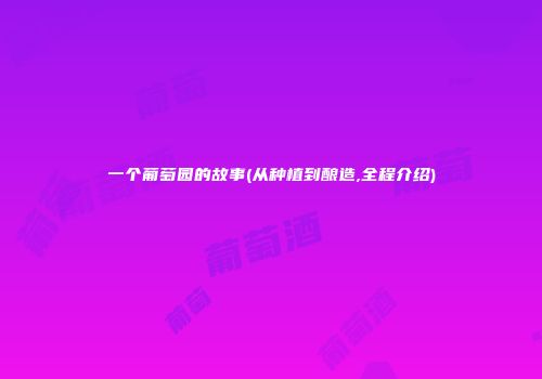 一个葡萄园的故事(从种植到酿造,全程介绍)