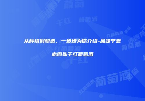 从种植到酿造，一步步为你介绍-品味宁夏赤霞珠干红葡萄酒