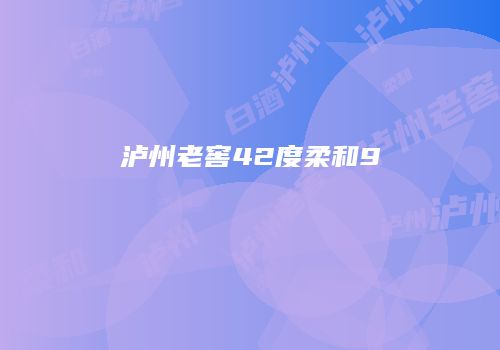 泸州老窖42度柔和9