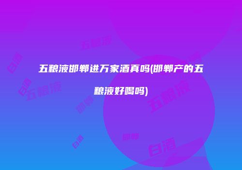 五粮液邯郸进万家酒真吗(邯郸产的五粮液好喝吗)