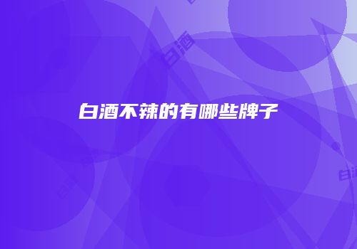 白酒不辣的有哪些牌子