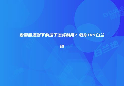 做葡萄酒剩下的渣子怎样利用？教你DIY白兰地