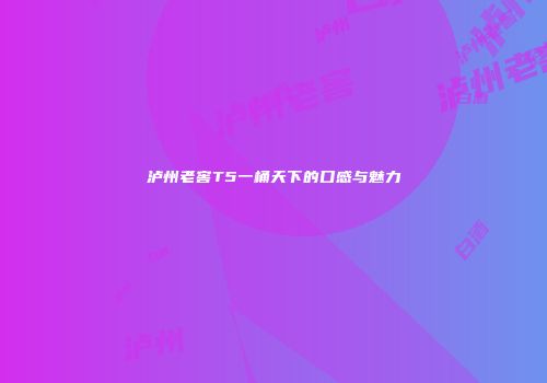 泸州老窖T5一桶天下的口感与魅力
