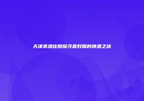 天津美酒佳酿探寻最好喝的啤酒之旅