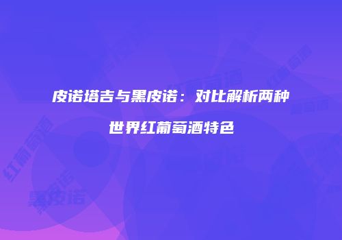 皮诺塔吉与黑皮诺：对比解析两种世界红葡萄酒特色