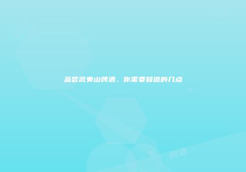品尝武夷山啤酒，你需要知道的几点