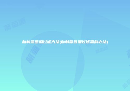 自制葡萄酒过滤方法(自制葡萄酒过滤器的办法)