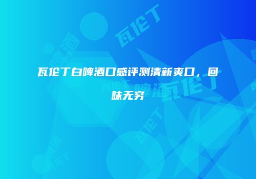 瓦伦丁白啤酒口感评测清新爽口，回味无穷