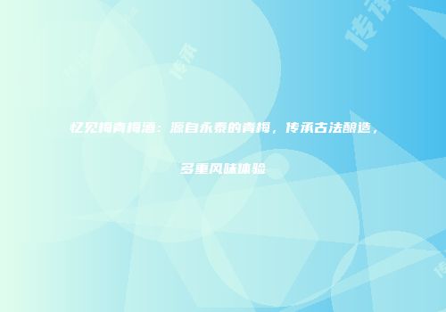 忆见梅青梅酒：源自永泰的青梅，传承古法酿造，多重风味体验