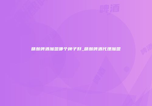 精酿啤酒加盟哪个牌子好_精酿啤酒代理加盟