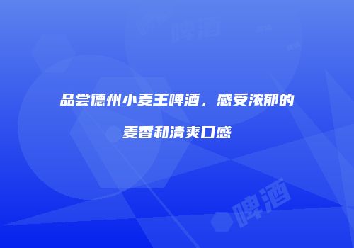 品尝德州小麦王啤酒，感受浓郁的麦香和清爽口感