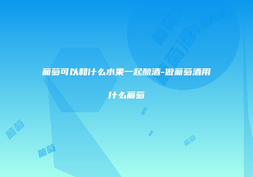 葡萄可以和什么水果一起酿酒-做葡萄酒用什么葡萄