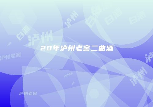 20年泸州老窖二曲酒