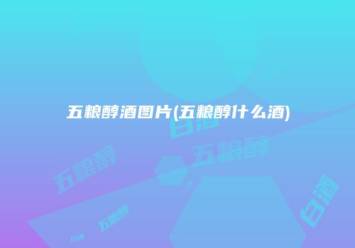 五粮醇酒图片(五粮醇什么酒)