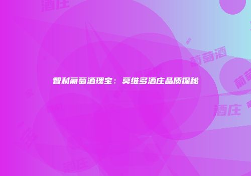 智利葡萄酒瑰宝：莫维多酒庄品质探秘