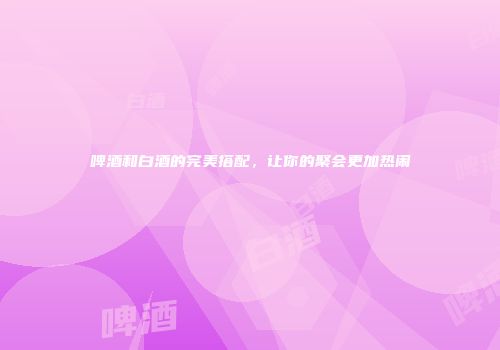 啤酒和白酒的完美搭配，让你的聚会更加热闹